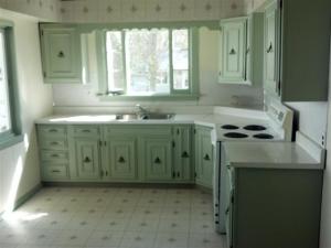 247 Warren St, Freeport, MI 49325 photo 4