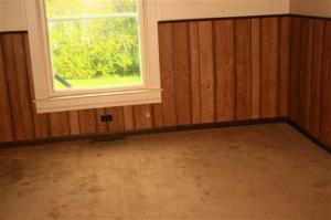 247 Warren St, Freeport, MI 49325 photo 9