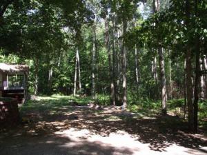 5214 E Hansen Rd, Custer, MI 49405 photo 24