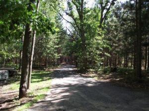 5214 E Hansen Rd, Custer, MI 49405 photo 23