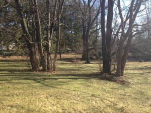 507 W Third St, Buchanan, MI 49107 photo 6