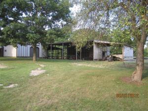 7274 W Briggs St, Stanton, MI 48888 photo 7