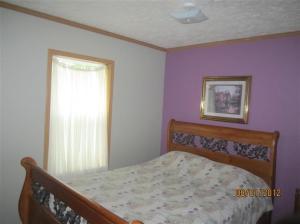 7274 W Briggs St, Stanton, MI 48888 photo 19
