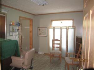 7274 W Briggs St, Stanton, MI 48888 photo 20