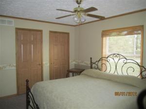 7274 W Briggs St, Stanton, MI 48888 photo 18
