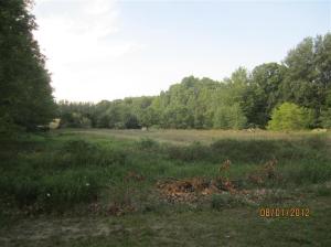7274 W Briggs St, Stanton, MI 48888 photo 13