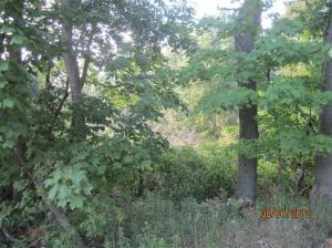7274 W Briggs St, Stanton, MI 48888 photo 12