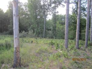7274 W Briggs St, Stanton, MI 48888 photo 11