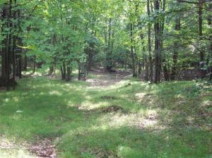 5812 State Rd, Chase, MI 49623 photo 8