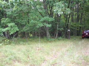 5812 State Rd, Chase, MI 49623 photo 7