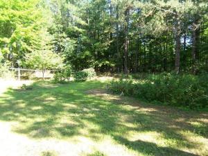 9185 River Rd, Evart, MI 49631 photo 17