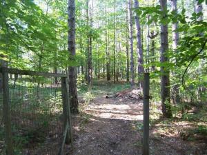 9185 River Rd, Evart, MI 49631 photo 16