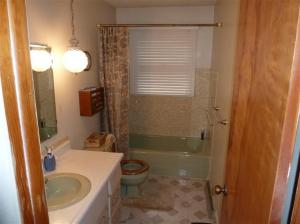 137 E Chicago Rd, Coldwater, MI 49036 photo 14