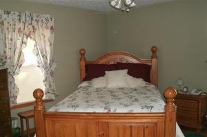 555 E Day, Stanton, MI 48888 photo 17