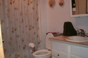 555 E Day, Stanton, MI 48888 photo 13