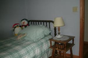 555 E Day, Stanton, MI 48888 photo 6