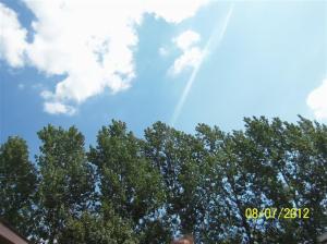 5468 Palmer Rd, Belding, MI 48809 photo 15