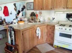 5468 Palmer Rd, Belding, MI 48809 photo 8