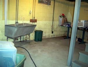 826 S First St, Edmore, MI 48829 photo 17