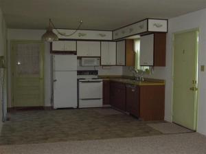 213 N Second, Edmore, MI 48829 photo 4