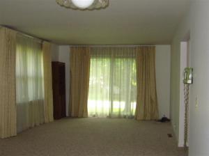 213 N Second, Edmore, MI 48829 photo 3