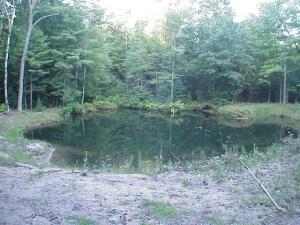7902 E 72nd St, Newaygo, MI 49337 photo 17