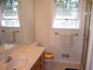 13241 Willow Grove Dr, Dewitt, MI 48820 photo 11