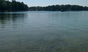 631 Spring Grove Rd, Stanton, MI 48888 photo 6