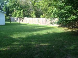 343 W First St, Stanton, MI 48888 photo 8