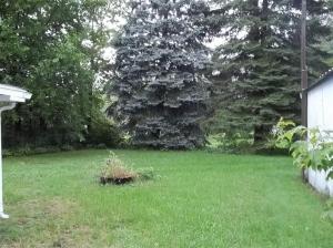110 Wright, Coldwater, MI 49036 photo 8