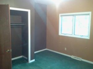 500 Floral Dr, Belding, MI 48809 photo 14