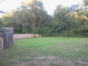 500 Floral Dr, Belding, MI 48809 photo 4