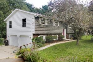 620 N Webster St, Augusta, MI 49012 photo 1