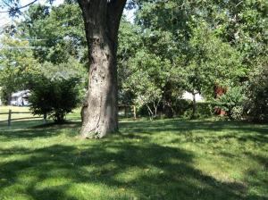939 Wilcox Ave, White Cloud, MI 49349 photo 14