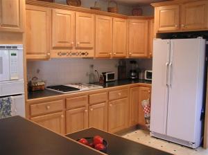 262 Mill, Saranac, MI 48881 photo 3