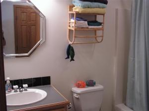 262 Mill, Saranac, MI 48881 photo 9