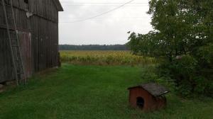 12689 E Q Ave, Scotts, MI 49088 photo 8