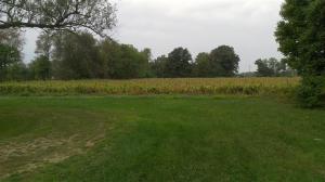 12689 E Q Ave, Scotts, MI 49088 photo 9