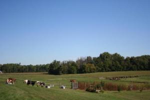 895 Herl Rd, Bronson, MI 49028 photo 17