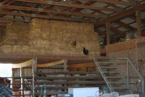 895 Herl Rd, Bronson, MI 49028 photo 14