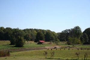 895 Herl Rd, Bronson, MI 49028 photo 15