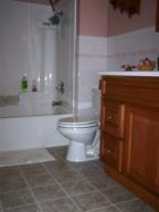 5601 E Boyer Rd, Fenwick, MI 48834 photo 15