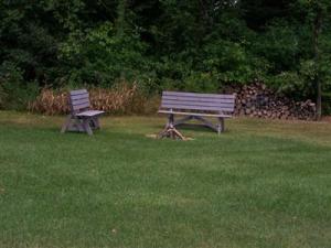 5601 E Boyer Rd, Fenwick, MI 48834 photo 9