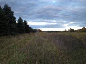6149 Roy Rd, Gladwin, MI 48624 photo 19