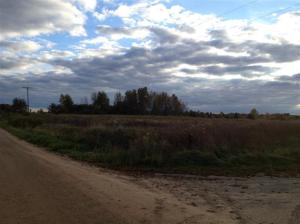 6149 Roy Rd, Gladwin, MI 48624 photo 10