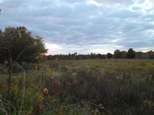 6149 Roy Rd, Gladwin, MI 48624 photo 22