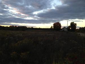 6149 Roy Rd, Gladwin, MI 48624 photo 21