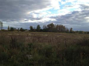 6149 Roy Rd, Gladwin, MI 48624 photo 8