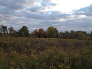 6149 Roy Rd, Gladwin, MI 48624 photo 18