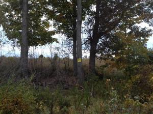 6149 Roy Rd, Gladwin, MI 48624 photo 20